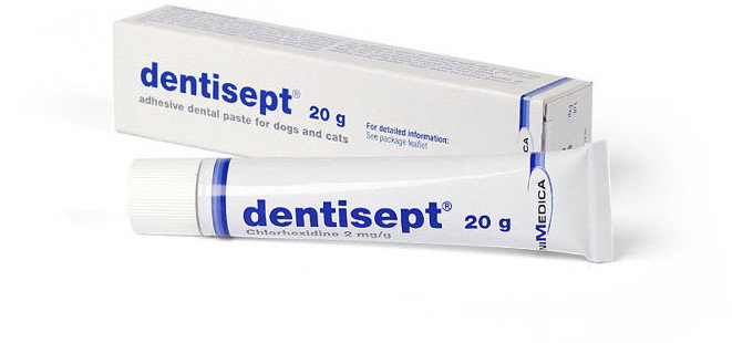 AniMedica DENTISEPT 20g adhezyjna pasta do zębów dla psów i kotów