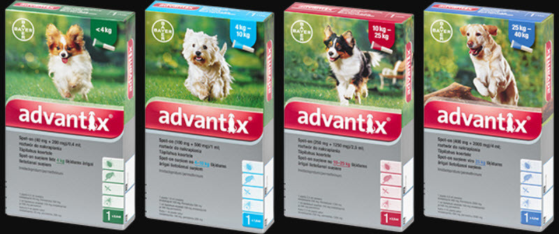 Bayer Advantix Spot-on 1,0 ml psy 4-10 kg 1 pipeta Bayer Advantix Spot-on 1,0 ml psy 4-10 kg 1 pipeta