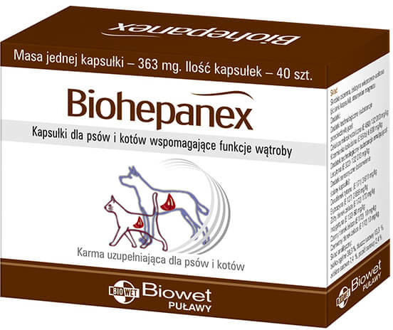 Biowet Biohepanex kapsułki dla psów i kotów wspomagające funkcję wątroby 40 kaps Biowet Biohepanex kapsułki dla psów i kotów wspomagające funkcję wątroby 40 kaps