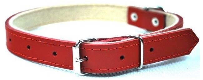 Chaba Obroża skórzana kolor czerwony 25mm 65cm