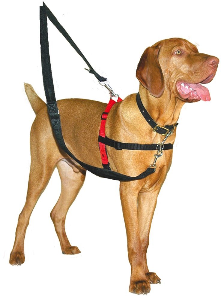 Halti Szelki treningowe dla psa Rozm S obw klatki piersiowej 30-60 cm| Dostawa GRATIS od 89 zł + BONUS do pierwszego zamówienia Halti Szelki treningowe dla psa Rozm S obw klatki piersiowej 30-60 cm| Dostawa GRATIS od 89 zł + BONUS do pierwszego zamówienia
