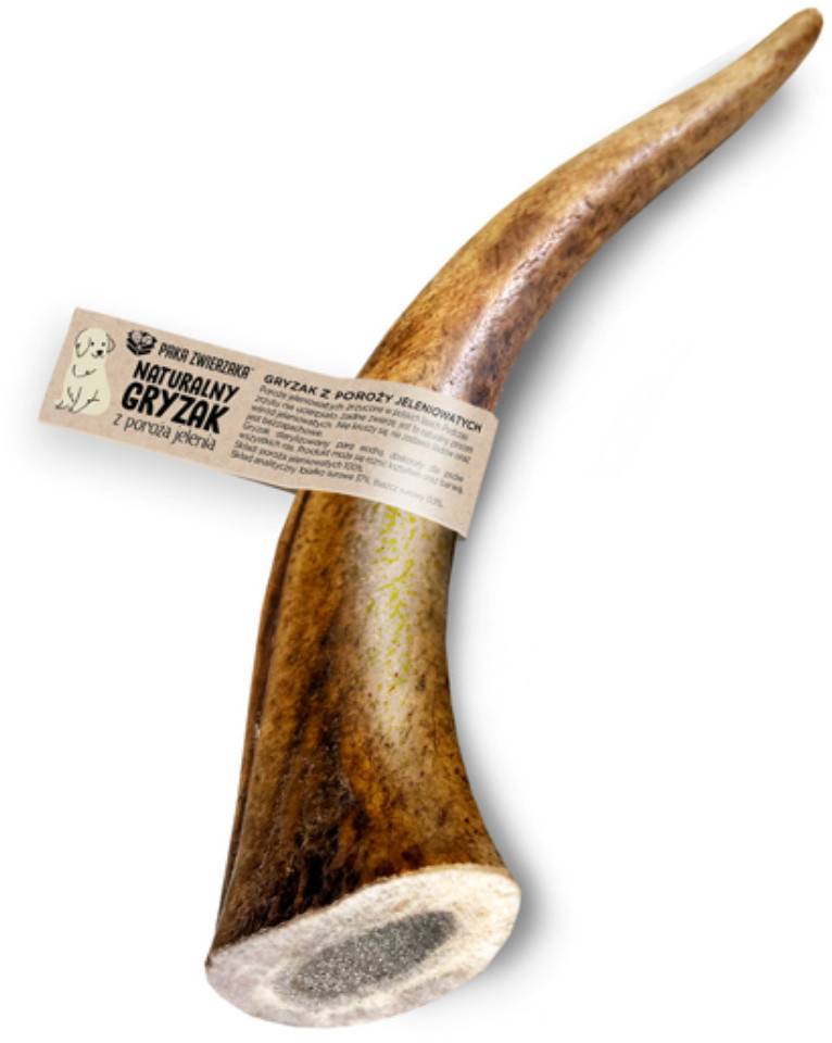 Paka Zwierzaka POROŻE JELENIA HARD XL 18 cm gryzak dla psa Paka Zwierzaka POROŻE JELENIA HARD XL 18 cm gryzak dla psa