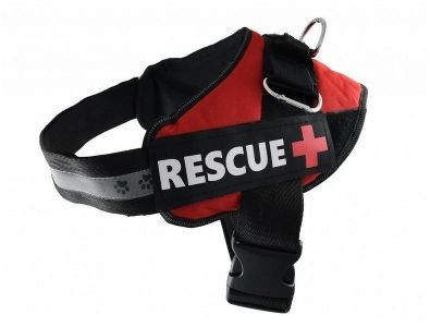 PET NOVA PET NOVA Szelki Rescue+ czerwone rozmiar L PET NOVA PET NOVA Szelki Rescue+ czerwone rozmiar L