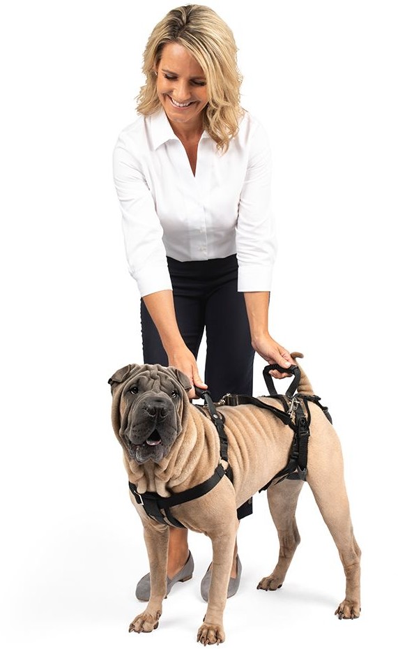 Petsafe PetSafe CareLift Szelki do podnoszenia Rozmiar M obwód klatki piersiowej 61 84 cm