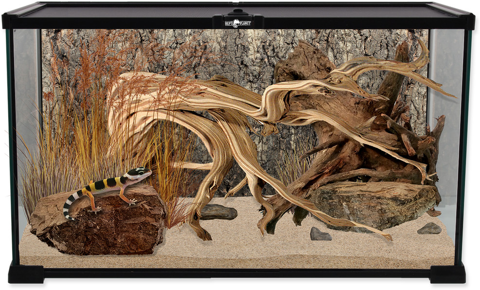 Repti Planet REPTI PLANET terrarium szklane 50,5×30,5x25cm Repti Planet REPTI PLANET terrarium szklane 50,5x30,5x25cm