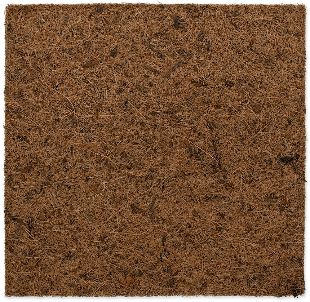Repti Planet REPTI PLANET tło kokosowe płaskie 30x30cm do terrarium 007-54001
