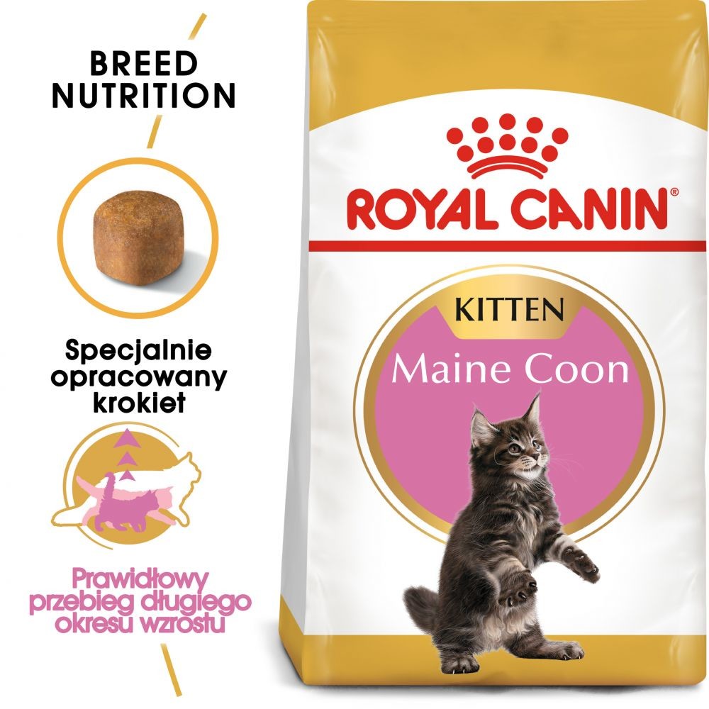 Royal Canin Maine Coon Kitten 10 kg Royal Canin Maine Coon Kitten 10 kg