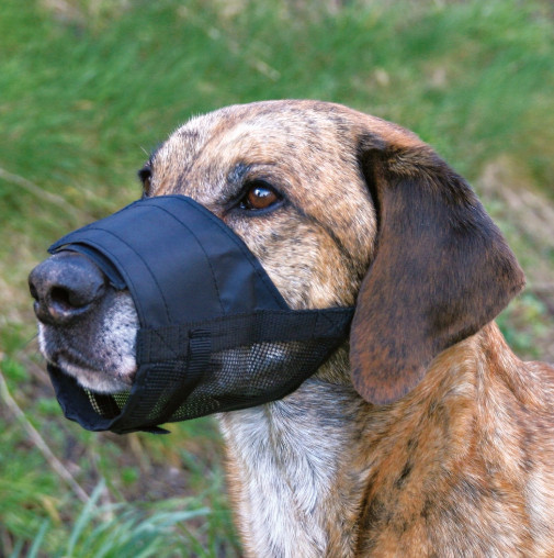 Trixie Kaganiec z siatką rozmiar S nr kat.19261