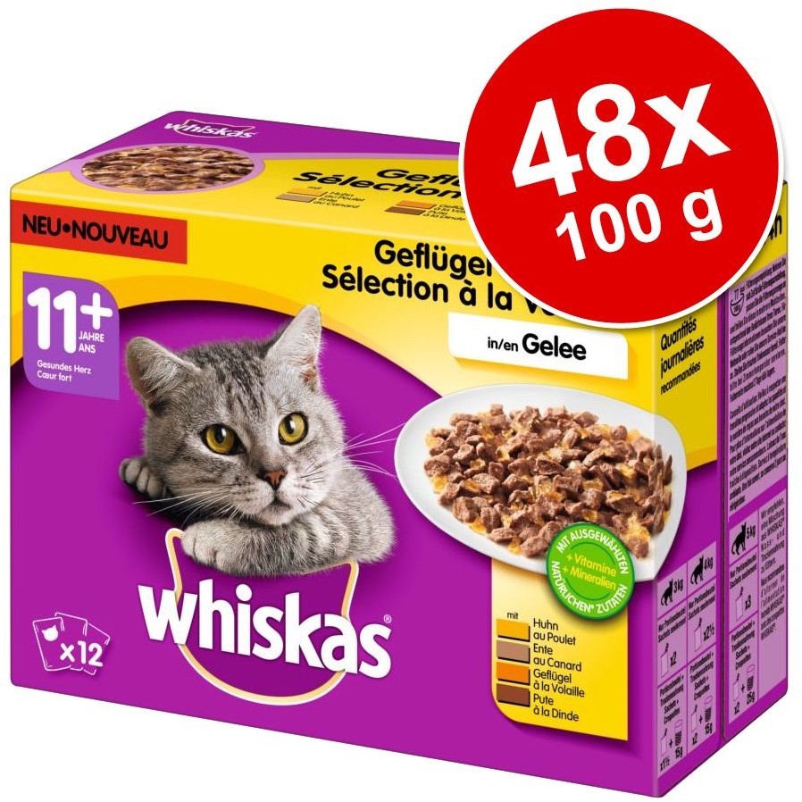 Whiskas Senior 11+ saszetki 12 x 100 g Drób w galarecie| Dostawa GRATIS od 89 zł + BONUS do pierwszego zamówienia