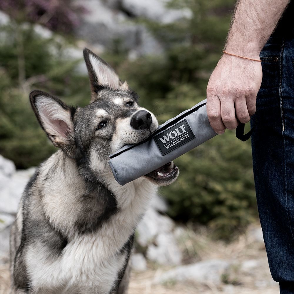 Wolf of Wilderness Wolf of Wilderness dummy do treningu, z uchwytem – 1 sztuka Wolf of Wilderness Wolf of Wilderness dummy do treningu, z uchwytem - 1 sztuka