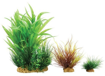 Zolux Dekoracja Roślinna Plantkit Wiha Model 2 DARMOWA DOSTAWA OD 95 ZŁ!