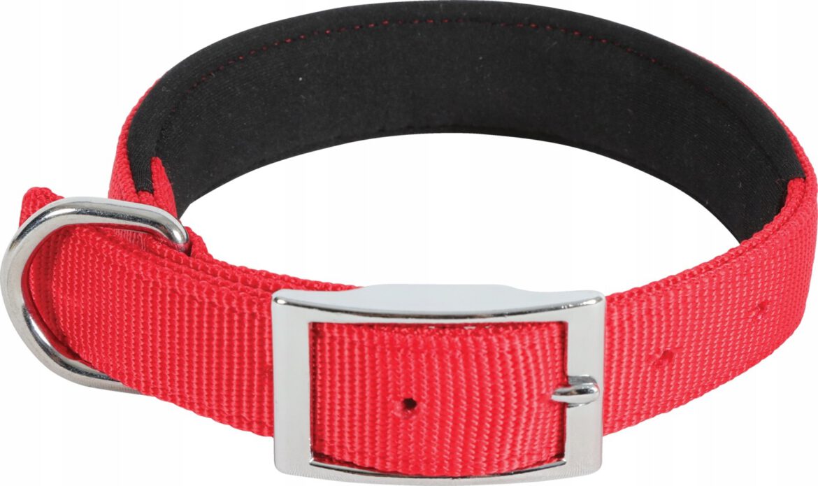 Zolux Obroża nylon Komfort 65 cm/25 mm kol. czerwo Zolux Obroża nylon Komfort 65 cm/25 mm kol. czerwo