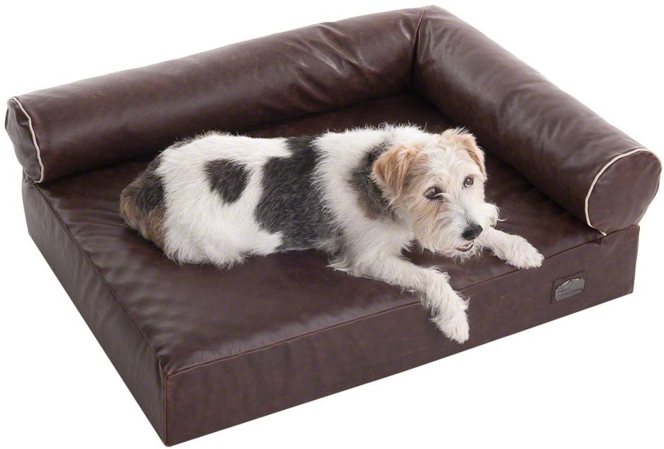 Zooplus Exclusive Ortopedyczna sofa dla psa Wellness Divan – Dł. x szer. x wys.: 85 x 65 x 30 cm Zooplus Exclusive Ortopedyczna sofa dla psa Wellness Divan - Dł. x szer. x wys.: 85 x 65 x 30 cm